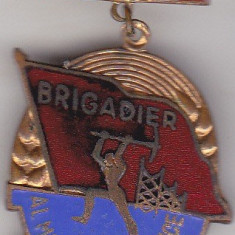 Insigna Brigadier al Muncii Patriotice