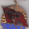 Insigna Brigadier al Muncii Patriotice