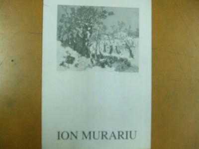 Ion Murariu pictura pliant expozitie 1995 Teatrul National Bucuresti foto