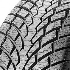 Cauciucuri de iarna Sonar PF-2 ( 225/55 R16 99V XL ) foto