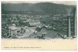 3518 - BUSTENI, Prahova, Panorama, Litho, Romania - old postcard - used - 1903