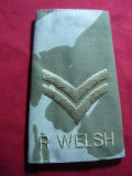 Epolet Anglia R.Welsh subofiter , L= 11,5 cm ,mat. textil