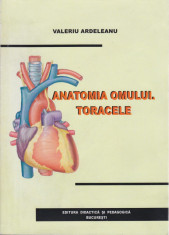 Valeriu Ardeleanu - Anatomia omului. Toracele - 683658 foto