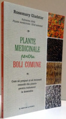 PLANTE MEDICINALE PENTRU BOLI COMUNE , 2016 foto