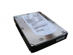 Hard disk-uri SAS Server, 300Gb, 15k rpm, 3.5 inch Diverse Modele foto