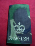 Epolet Anglia R.Welsh si Coroana , L= 11,5 cm ,mat. textil