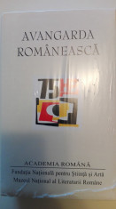 Avangarda romaneasca Ion Pop editie critica de lux Academia Romana foto