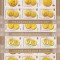 ROMANIA 2006 LP1710 a ISTORIA MONEDEI DE AUR MINICOLI 7 TIMBRE + 2VINIETE MNH