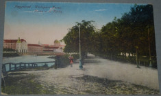 ORADEA (Nagyvarad) - Centru pietonal corso (Korospati Korso) - 1917 foto