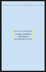 Horvat Srecko / ZiZek Slavoj, Ce vrea Europa? Uniunea si necazurile cu ea foto