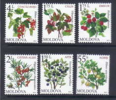 MOLDOVA 2013, Fructe, serie neuzata, MNH foto