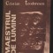(C7012) CRISTIAN TEODORESCU - MAESTRUL DE LUMINI
