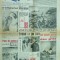 Rapid 8 martie 1942 Miron Cristea femei ortodoxe Bucovina Moliere cauciuc polip