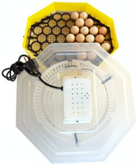 Incubator oua Cleo 5D - Clocitoare oua foto