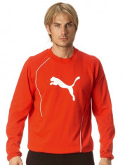 BLUZA SOLEX PUMA MENS FOUNDATION SWEAT red foto