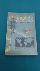 ANIMALELE DE APA DULCE ?I RASPANDIREA LOR/ G.D. VASILIU, P. BANARESCU/ 1960 foto