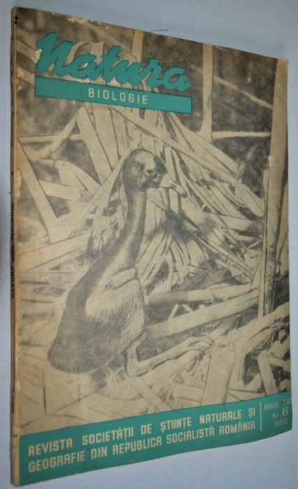 Revista natura biologie NR. 6 / 1966 foto mare Revista natura biologie NR. 6 / 1966 foto mare