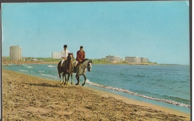 CPI (B7499) CARTE POSTALA - ECHITATIE LA MANGALIA, CAI PE PLAJA foto