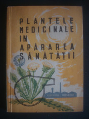 PLANTELE MEDICINALE IN APARAREA SANATATII foto