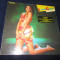 Irene Cara ?? What A Feelin&#039; _ vinyl,LP,Olanda dance,anii&#039;80