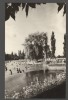 CPI (B7403) CARTE POSTALA -ORADEA. BAILE FELIX, Circulata, Fotografie