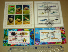 Set Lot Colectie 4 colite PESTI SCOICI FAUNA MARINA NATURA 2+1 gratis RBK19904 foto