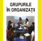 Petru Lucian Curseu - Grupurile in organizatii - 602475