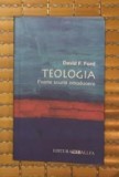 Teologia : foarte scurta introducere / David F. Ford