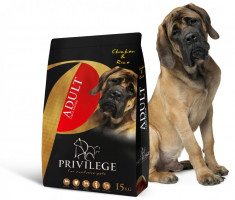 Privilege Adult Large Breed ? Pui &amp;amp; Orez - Hrana uscata super-premium - 15 kg foto