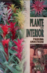 Plante de interior - Paulina Anastasiu foto