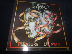 Dr. Hook ?? Pleasure &amp;amp; Pain _ vinyl(LP,album) Olanda foto