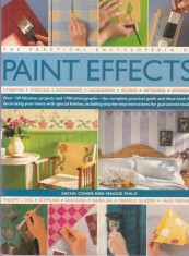 Sacha Cohen - The Practical Encyclopedia Of Paint Effects - 641871 foto