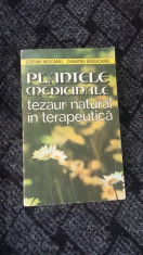 PLANTELE MEDICINALE TEZAUR NATURAL IN TERAPEUTICA foto