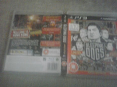 Sleeping Dogs Limited Edition - PS3 foto