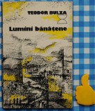 Lumini banatene Teodor Bulza