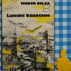 Lumini banatene Teodor Bulza