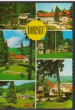 CPI (B7517) CARTE POSTALA - BORSEC. MOZAIC