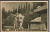CPI (B7579) CARTE POSTALA - PALTINIS. CASE DE ODIHNA, RPR, Circulata, Fotografie