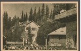 CPI (B7579) CARTE POSTALA - PALTINIS. CASE DE ODIHNA, RPR, Circulata, Fotografie