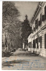 CPI (B7515) CARTE POSTALA - ORADEA. BAILE &quot;VICTORIA&quot;, 1958, RPR