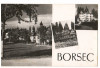 CPI (B7502) CARTE POSTALA - BORSEC. MOZAIC, Necirculata, Fotografie