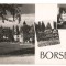 CPI (B7502) CARTE POSTALA - BORSEC. MOZAIC