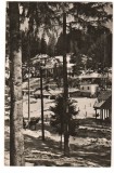 CPI (B7516) CARTE POSTALA - IARBA LA BORSEC