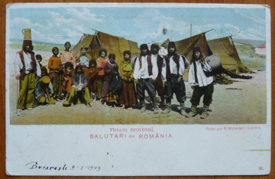 Carte postala ; Tigani spoitori , cromolitografie , circulata , 1909 foto