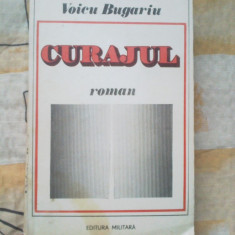 n6 Curajul - roman - Voicu Bugariu