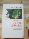 N2 Galeria cu vita salbatica - Constantin Toiu