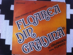floarea din gradina Darvareanu Popescu ?tineri Interpreti muzica populara vinyl foto