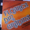floarea din gradina Darvareanu Popescu ?tineri Interpreti muzica populara vinyl