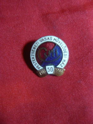 Insigna Primariei Peterzebet Budapesta 1966 -50 Ani Centrul Comunitar, d= 1,7 cm foto