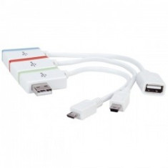 HUB mini cu adaptor mini USB, micro USB 161657 Man - RS125007286 foto